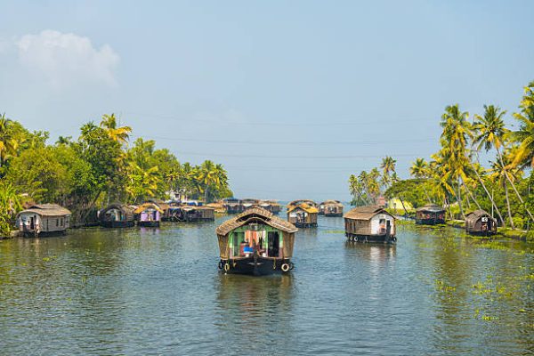 Many house boats sail down the river in backwaters against palms background and blue sky In Alappey, Kerala, India. Kerala state, with a large network of inland canals earning it the sobriquet "Venice of the east".