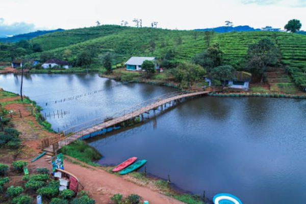 Munnar is the most beautiful tea garden in Kerala